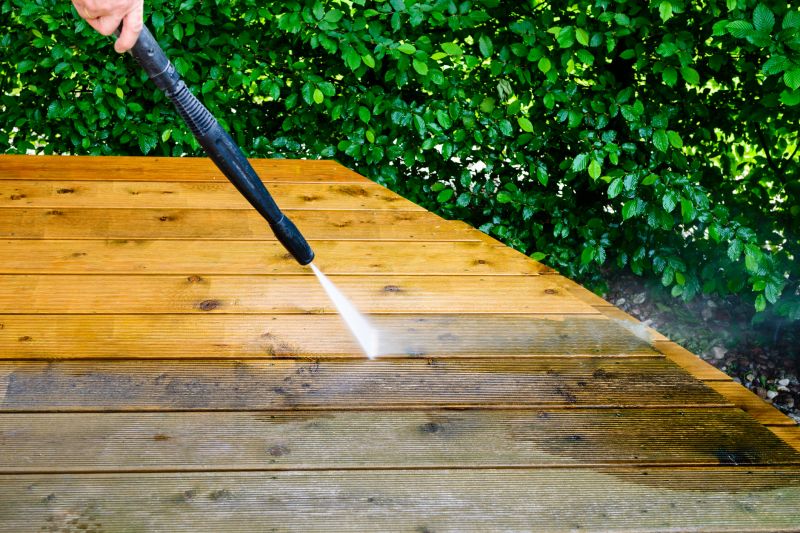 Professional Deck Cleaning Services